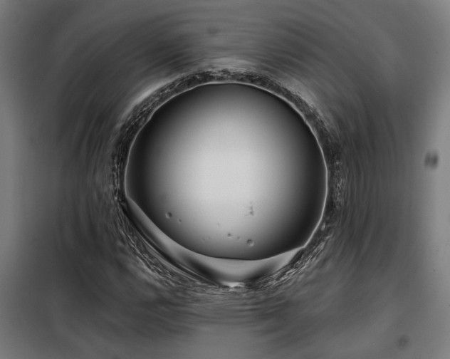 X0000098091112200804041213