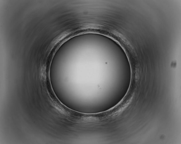 X0000098091113200804041213
