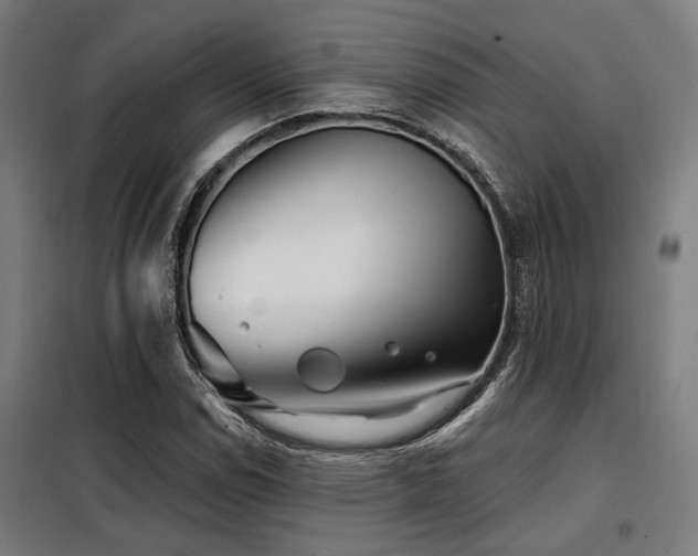 X0000098091114200804041213