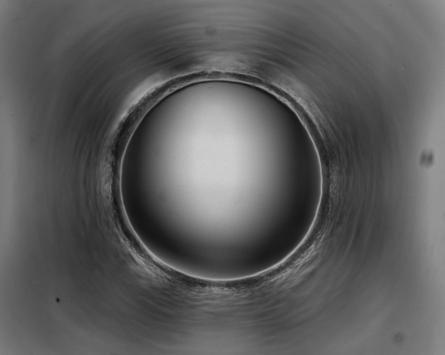 X0000098091115200804041213
