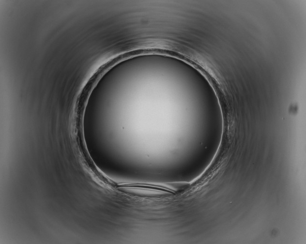 X0000098091116200804041213