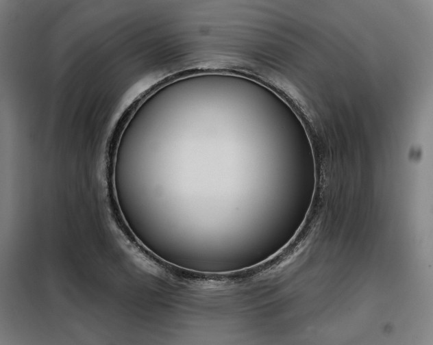 X0000098091122200804041213