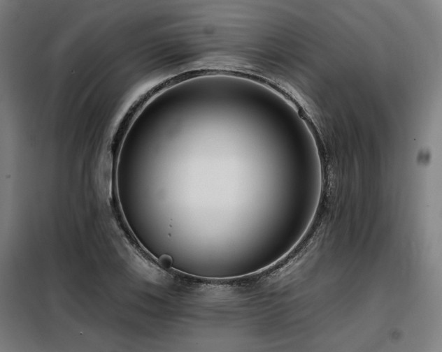X0000098091123200804041214