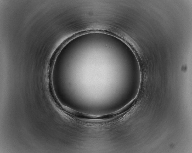 X0000098091124200804041214