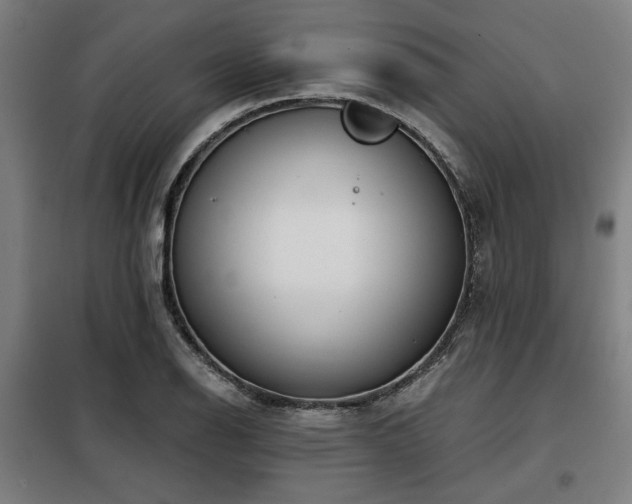 X0000098091126200804041214
