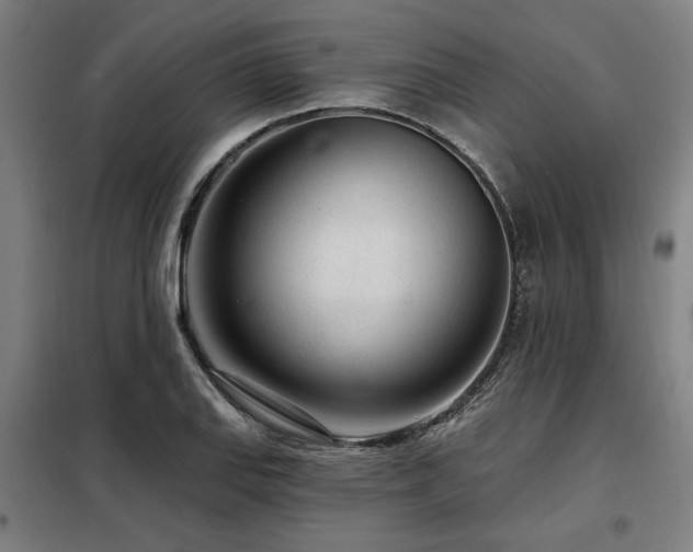 X0000098091127200804041214