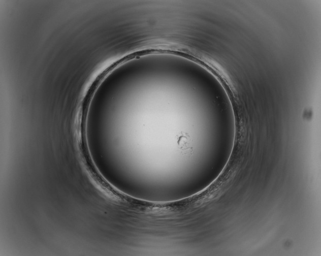X0000098091128200804041214