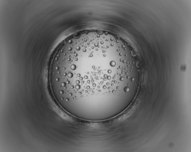 X0000098091130200804041214