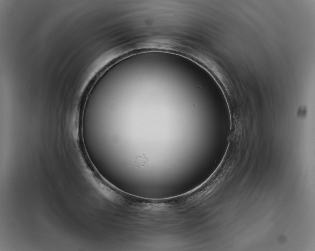 X0000098091131200804041214