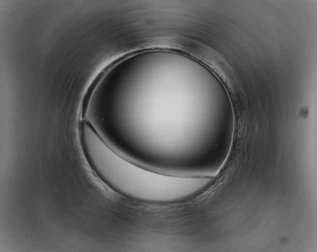 X0000098091132200804041214