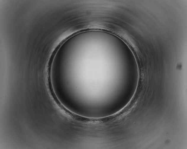 X0000098091133200804041214