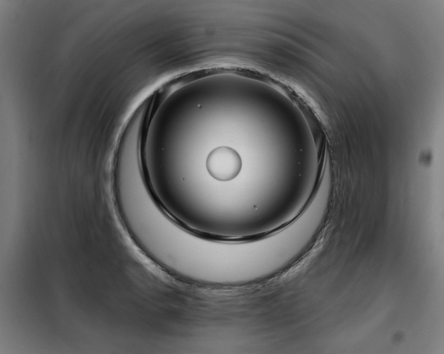 X0000098091134200804041214