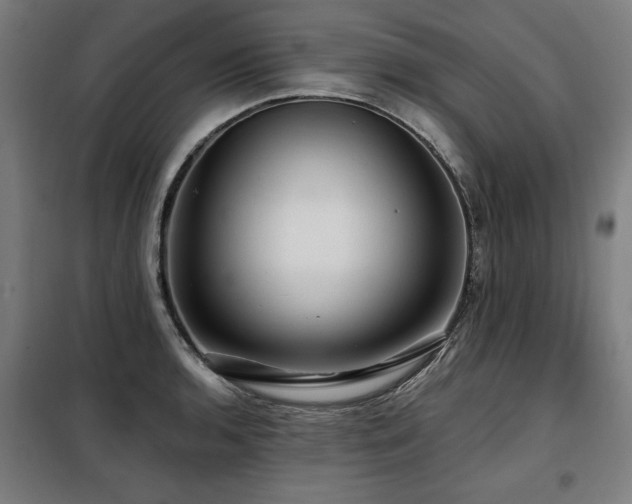 X0000098091136200804041214