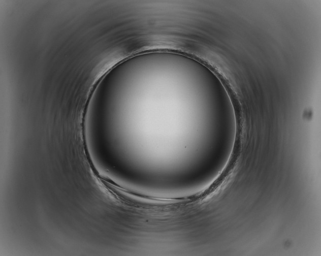 X0000098091137200804041214