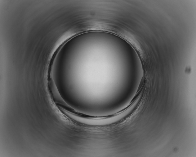 X0000098091138200804041214