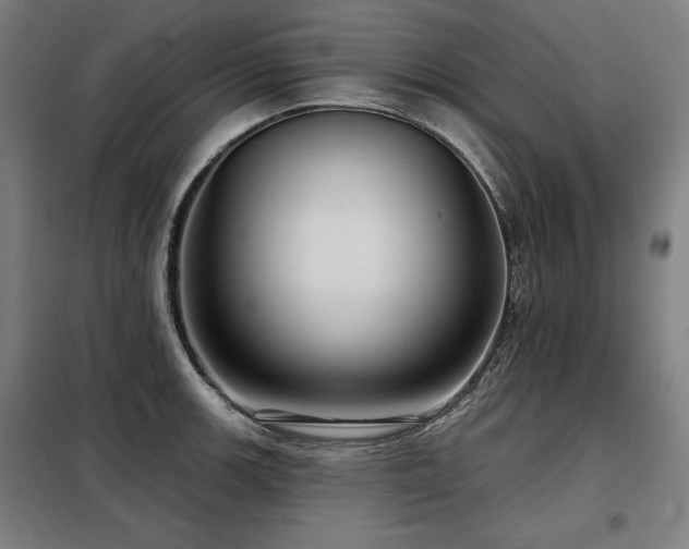 X0000098091139200804041214