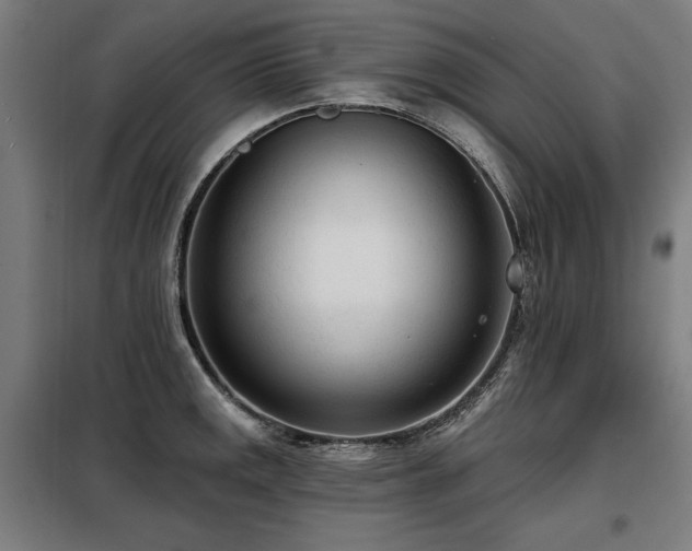 X0000098091141200804041214