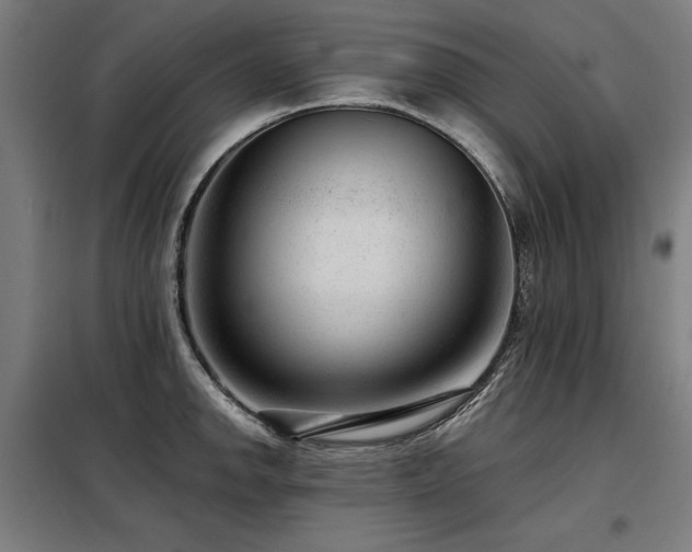 X0000098091142200804041214