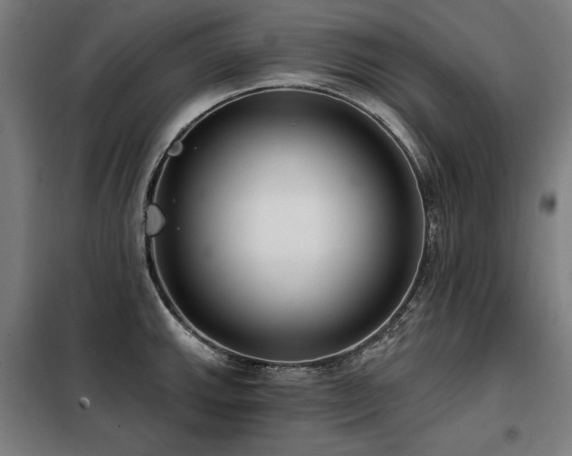 X0000098091143200804041214