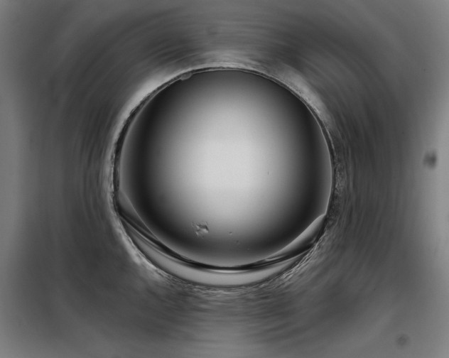 X0000098091144200804041214