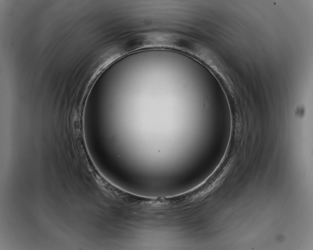 X0000098091145200804041214
