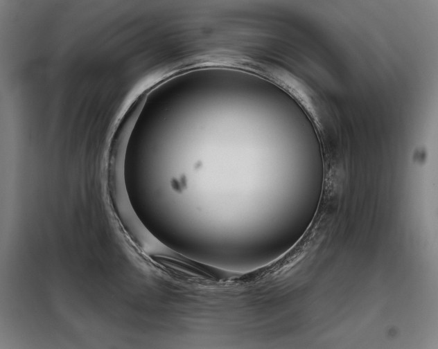 X0000098091146200804041214