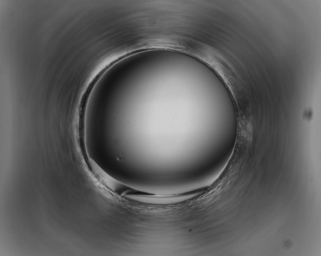 X0000098091147200804041214