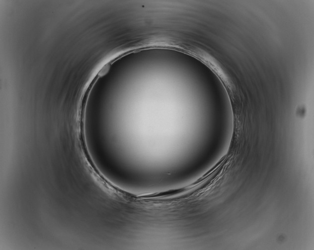 X0000098091148200804041214