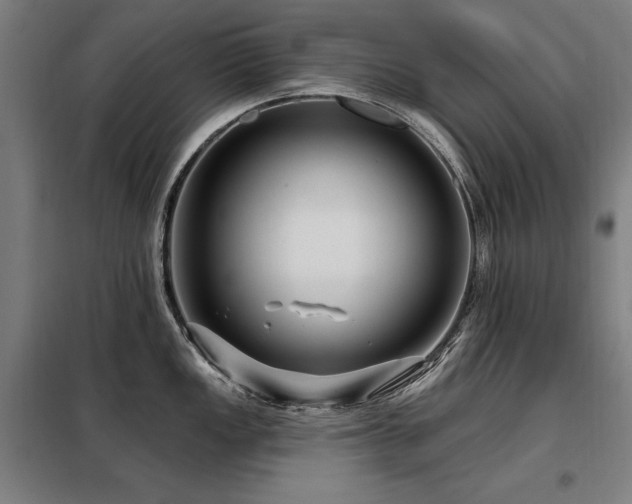X0000098091149200804041214