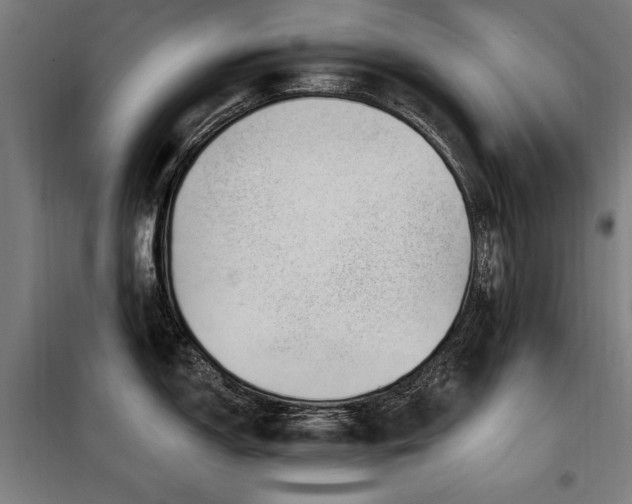 X0000098091150200804041214