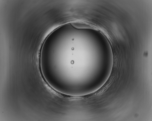 X0000098091151200804041214