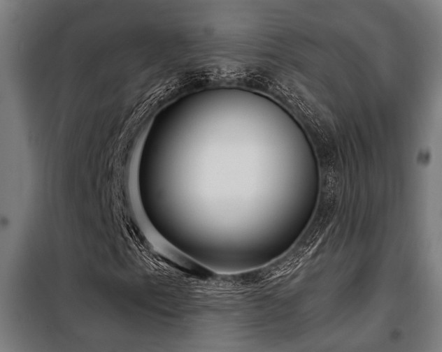 X0000098091153200804041213
