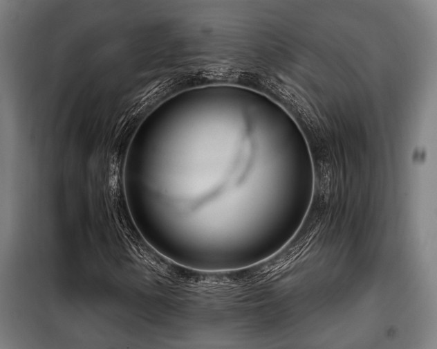 X0000098091154200804041213