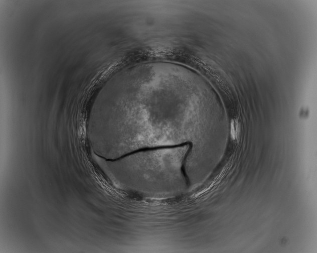 X0000098091155200804041213