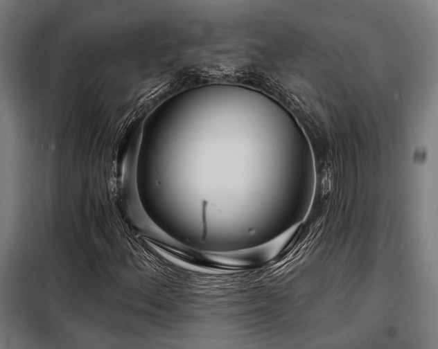 X0000098091156200804041213