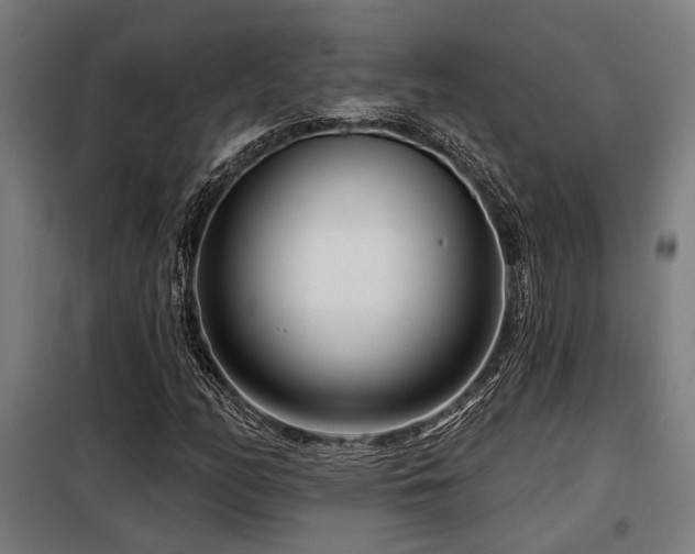 X0000098091158200804041213