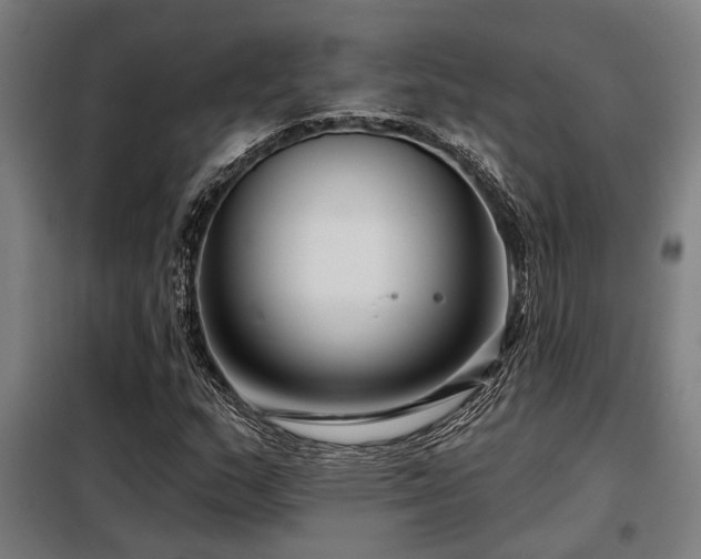 X0000098091159200804041213