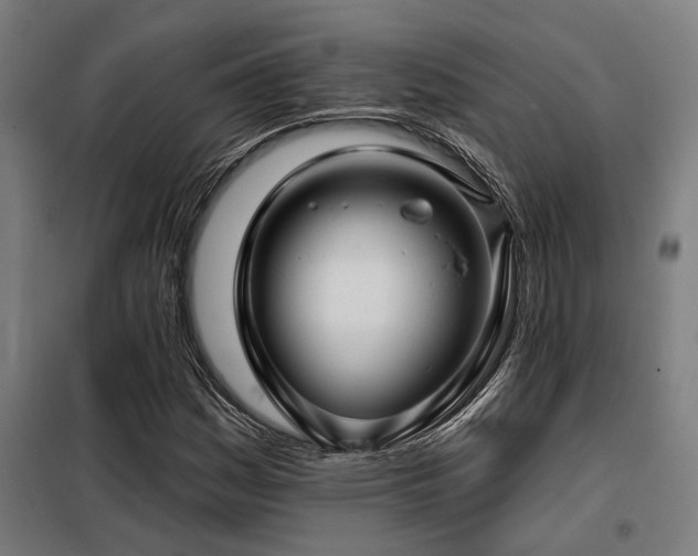 X0000098091161200804041213