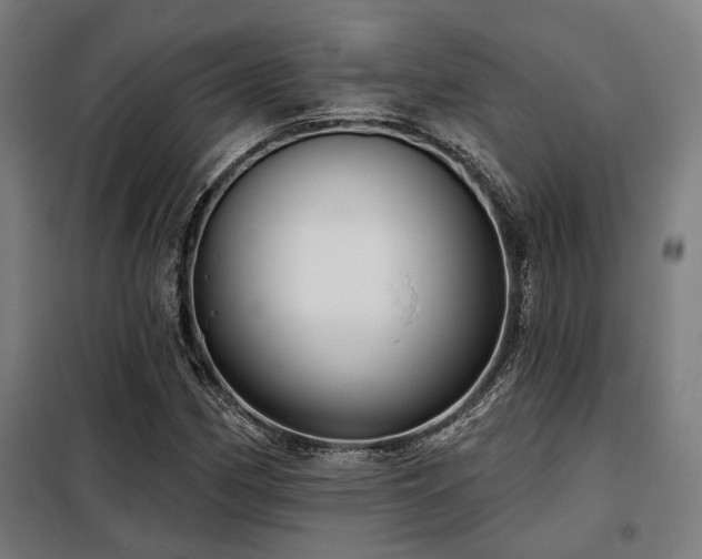 X0000098091162200804041213