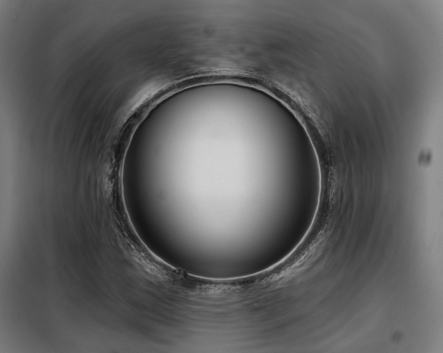 X0000098091163200804041213