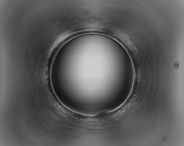 X0000098091164200804041213