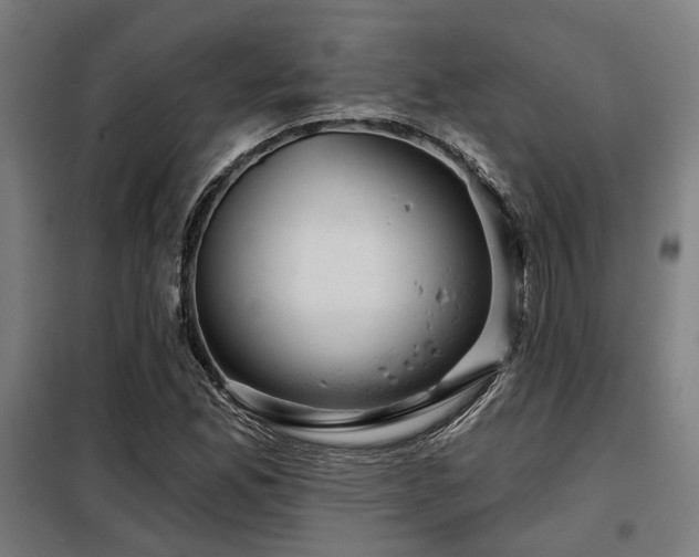 X0000098091165200804041213