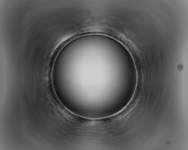 X0000098091166200804041213