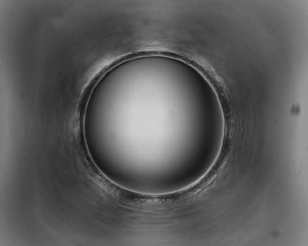 X0000098091167200804041213