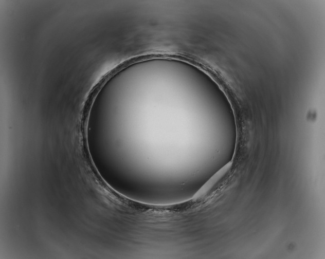 X0000098091168200804041213