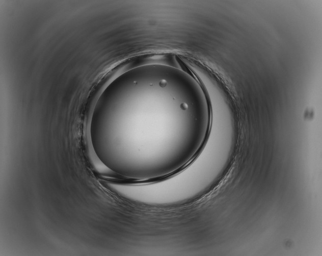 X0000098091169200804041213