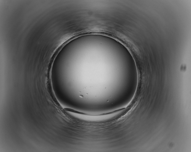 X0000098091170200804041213