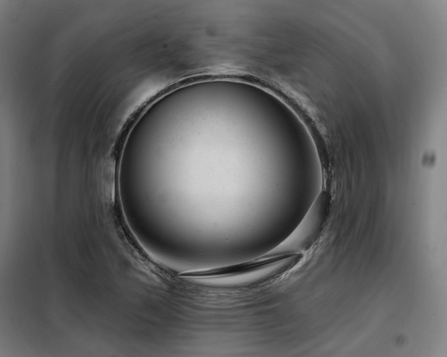 X0000098091171200804041213