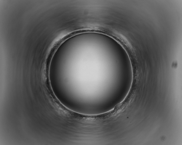 X0000098091172200804041213