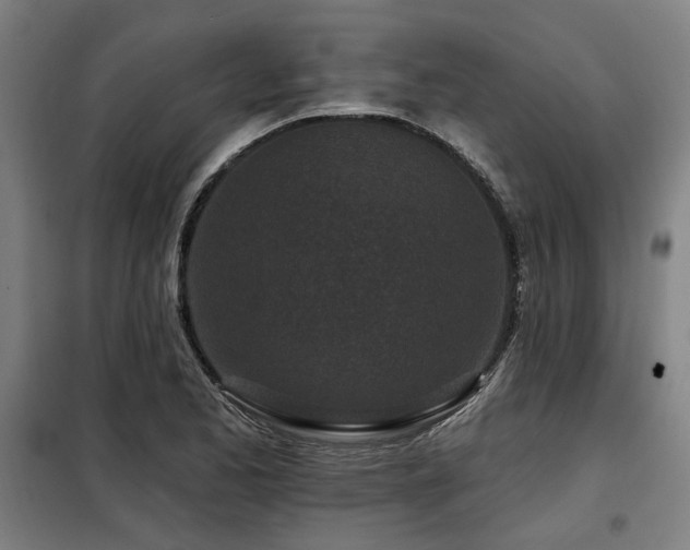 X0000098091173200804041213